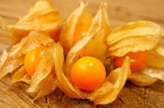 農(nóng)業(yè)自動(dòng)氣象站助力菇娘規(guī)?；N植
